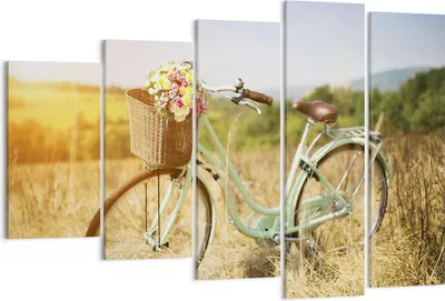 Produktbild von Bild auf Leinwand - Leinwandbild - 5 Teile - Fahrrad Wiese Blumen - 150x100cm - Wand Bild - Wanddeko - Wandbilder - Leinwanddruck - Bilder - Wanddekoration - Leinwand bilder - EG150x100-4206