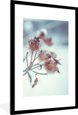 Produktbild von MuchoWow® Gerahmtes Poster Pflanzen - Winter - Schnee - Natur 60x90 cm - Poster mit Schwarzem Bilderrahmen Wandposter Rahmen Foto Bilder - Dekoration - Wandposter Wohnzimmer - Hochwertig