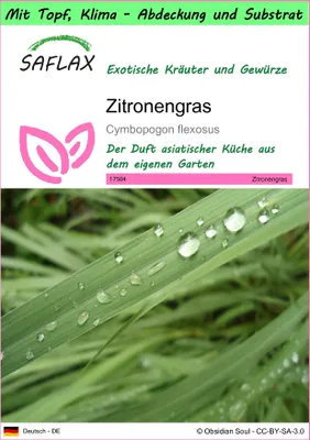 Produktbild von SAFLAX Garden to go - Zitronengras - Cymbopogon flexosus - 50 Samen - Mit Topf, Klima - Deckel und Anzuchtsubstrat