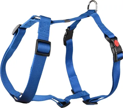 Produktbild von Flamingo Geschirr Ziggi blau, Größe: L / Breite: 25 mm