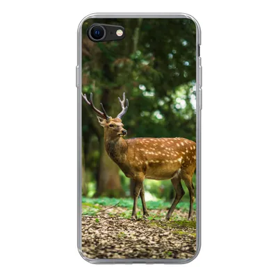Produktbild von MuchoWow® Handyhülle Schutzhülle Hülle für iPhone SE 2020 Rotwild - Wald - Tier Silikon Softcase Handy Hülle - Kartenbesitzer