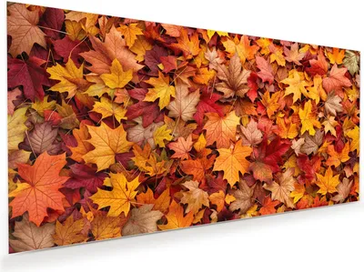 Produktbild von Glasbild 110x55cm in XXL für Wohnzimmer, Schlafzimmer Motiv Herbstlaub