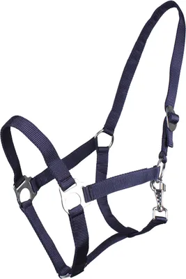 Produktbild von Halfter mit schiebeschnalle Blau Full
