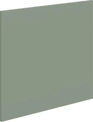 Produktbild von Tür für Einbaugeschirrspüler LUNARA – 60 x 57 cm, grün