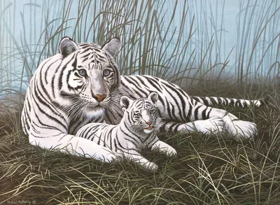 Produktbild von Malen nach Zahlen PJL-22 Weiße Tiger