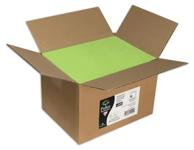 Produktbild von Clairefontaine Umschlag Pollen 162x229 120g minz