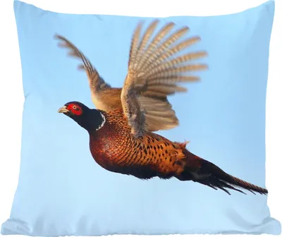 Produktbild von MuchoWow® Zierkissen Sofakissen Wohnzimmer Dekokissen 50x50 cm Fasan - Flügel - Vogel - Komfort - Sofakissen