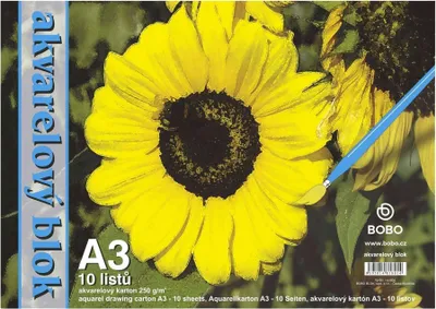 Obrázok produktu pre Bobo Watercolour Pad Skicár 10 A3 250 g