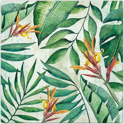 Image de Serviettes 33x33 cm - Tropical Garden