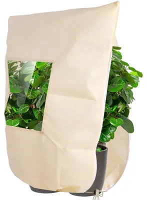 Produktbild von Pflanzenschutzhaube Winterschutz Vlies - 120 x 180 cm - 70 g/m² - Mit Sichtfenster