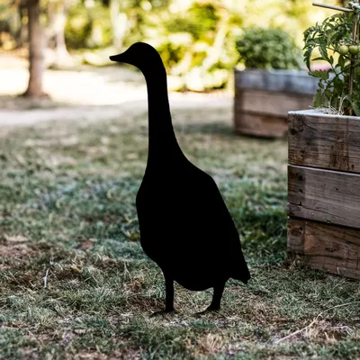 Produktbild von Evila Originals, Goose 04, Dekoratives Objekt, Schwarz, 65 x 26 cm
