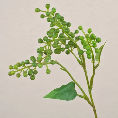 Produktbild von artplants.de Kunstzweig Holunderbeeren TEITH mit Früchten, grün, 40cm - Künstlicher Beerenzweig