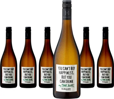 Produktbild von 6 x Emil Bauer & Söhne You Can't Buy Happiness. But You Can Drink My Pinot Blanc!