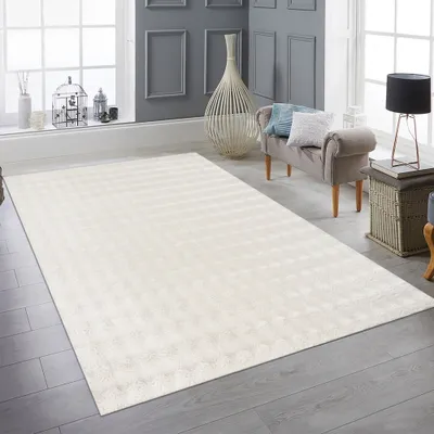 A living room scene with a large white rug as the main focus.