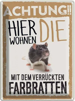 Produktbild von vianmo Blechschild 40x30 cm Tiere Achtung hier Farbratten Tier Haustier
