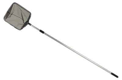 Image de Epuisette de bassin Manche télescopique Epuisette de pêche Epuisette à poisson Epuisette de sous-tirage