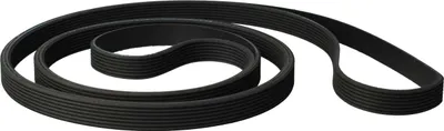 A black serpentine belt coiled on a white background.