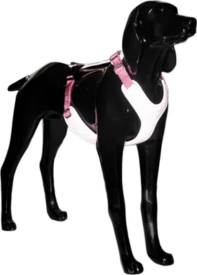Produktbild von PAIKKA Hundegeschirr reflektierend "Visibility Harness" pink, Größe: S