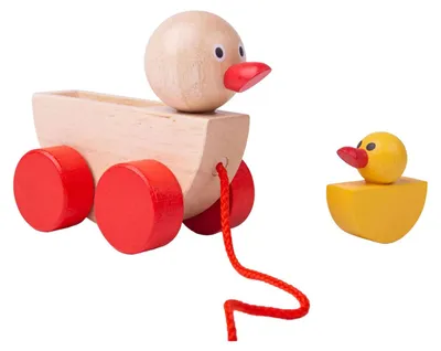 Obrázek produktu pro Bigjigs kachna a kachňata
