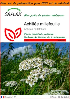 Image de SAFLAX Garden in the bag - Achillée millefeuille - 200 graines - Achillea