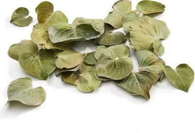 Produktbild von Coracao Blätter Natur / Weiß, getrocknet im Beutel mit 150g | Bulnesia sarmientoi, Farbe:Natur