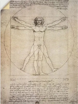 Produktbild von ARTland Wandbild, selbstklebend Proportionszeichnung, nach Vitruv. 1490 Größe: 90x120 cm