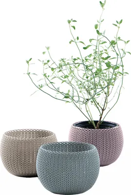 Zdjęcie produktu dla KETER Flowerpot Cozies Trio Mix 230393