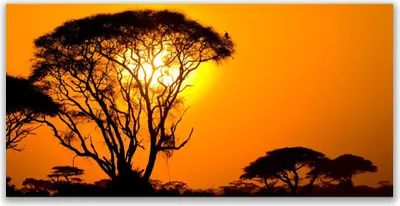 Produktbild von Tulup Leinwand-Bilder 120x60 Wandbild Canvas Kunstdruck Bäume Sonne Natur