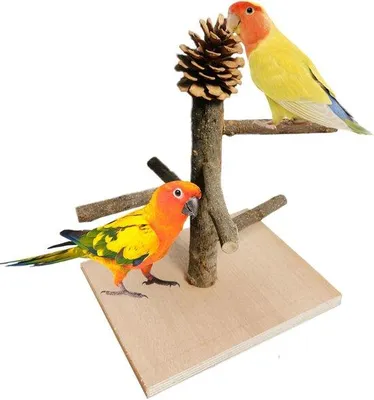 Produktbild von Vogelstand mit Holz - Papageienspielplatz - Vogeltraining - 22 x 20 x 20 cm
