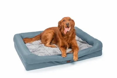 Produktbild von RAIKOU Hundematratze Hundebetten gepolstertes waschbares Tierbett Hundekissen Hundesofa Blau 100*80*9cm