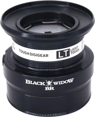 Image de DAIWA bobine de rechange pour moulinet de pêche Black Widow BR LT, 5000-C, 19149-500