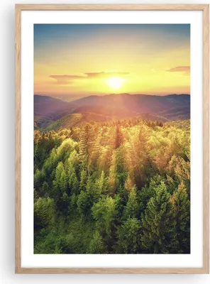 Produktbild von Gerahmtes Poster - Rahmen in heller Eiche - Berge Natur - 50x70 cm - Wand Bild - Wanddeko - Wandbilder - Kunstposter - Wandposter - Bilderrahmen - Bilder - Kunstdruck - Wandbild - P2NPA50x70-3697