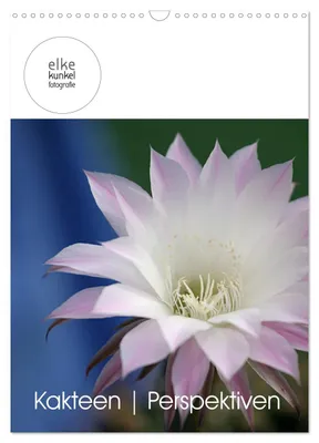 Produktbild von Kakteen Perspektiven (Wandkalender 2027 DIN A3 hoch), CALVENDO Monatskalender