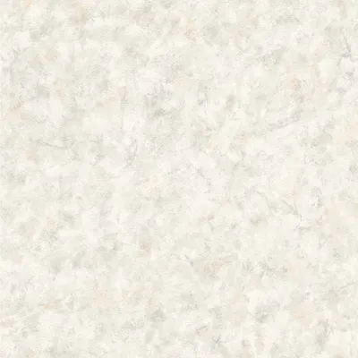Produktbild von Papiertapete 218039 Tapete Uni Einfarbig 53 x 1005 cm Rasch Selection Grau