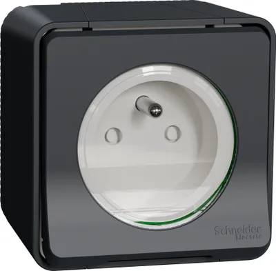 Image de Mureva Styl - Prise de courant 2P+T à vis - saillie - IP55 - IK08 - gris - SCHNEIDER ELECTRIC - MUR36030
