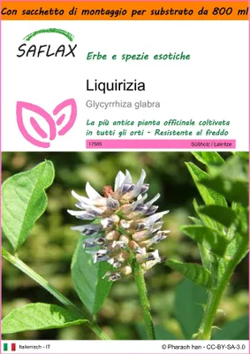 Immagine prodotto di SAFLAX Garden in the bag - Liquirizia - 30 semi - Glycyrrhiza