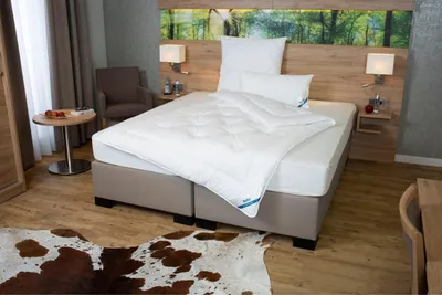 Immagine prodotto di Cuscino BeCo Royal Soft, 80 x 80 cm, 1000 g, Stiftung Warentest (10/2019) valutazione "BUONO" (2.4), con cuscino interno separato