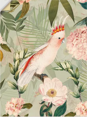 Produktbild von ARTland Wandbild, selbstklebend Vintage Papagei Größe: 30x40 cm