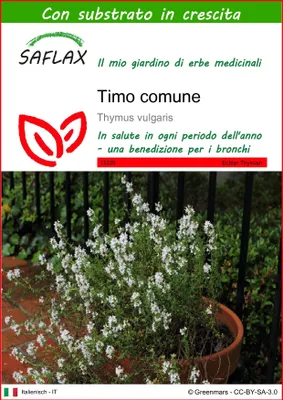 Immagine prodotto di SAFLAX  - Timo comune - 200 semi - Con substrato - Thymus