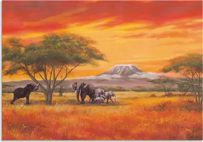 Produktbild von ARTland Wandbild Alu für Innen & Outdoor Elefanten Größe: 70x50 cm