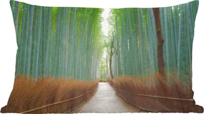 Produktbild von MuchoWow® Zierkissen Sofakissen Wohnzimmer Dekokissen 50x30 cm Bambus - Weg - Wald - Wohnzimmerdekoration - Polster mit Photo
