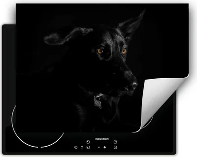 Produktbild von DarHaus Herdabdeckplatte 70x52 cm Anti Rutsch Matte Aufrollbar, schwarz - Hund