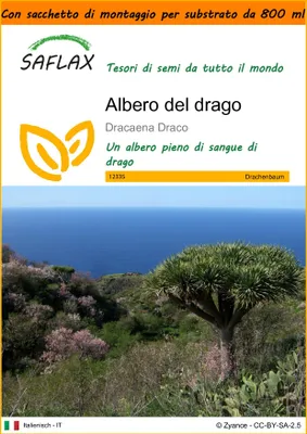 Immagine prodotto di SAFLAX Garden in the bag - Albero del drago - 5 semi - Dracaena