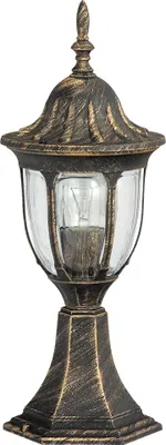 A classic outdoor lamp with a gold and bronze finish and a clear glass shade.