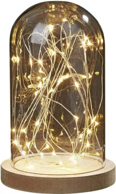 Obrázok produktu pre Sklenená kopula s LED reťazou a dreveným podstavcom, odnímateľná kopula, 30 LED diód, časovač 523713