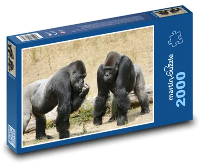 Obrázok produktu pre Puzzle 2000 Gorily v prírode - martinpuzzle