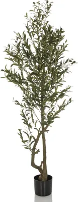 Obrázek produktu pro hjh OFFICE Umělá rostlina OLIVE I Umělá rostlina Olive Výška 172,0 cm Dekorace