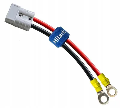 Produktbild von Set LgY 10m für Wechselrichter-Batterie 6mm² Anderson-Stecker + Ringöse M8