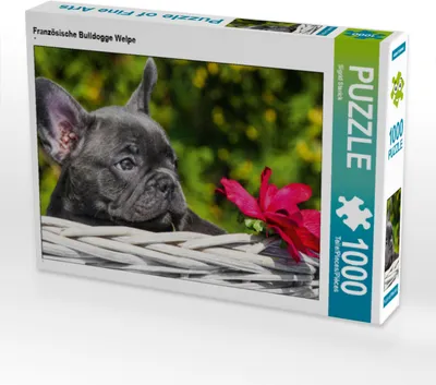 Produktbild von CALVENDO Puzzle Französische Bulldogge Welpe | 1000 Teile Lege-Größe 64x48cm Foto-Puzzle für glückliche Stunden