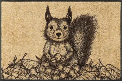 Produktbild von Fußmatte Eichhörnchen 50x75cm